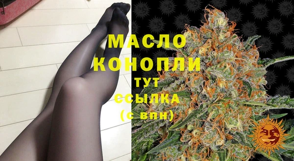 СК Елизово