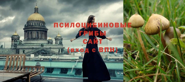 хмурый Елабуга