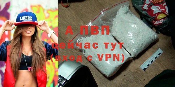 СК Елизово