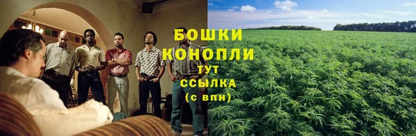 скорость Дмитриев